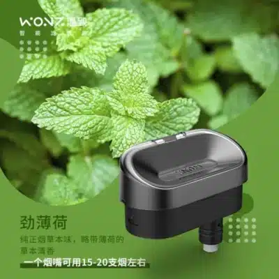 【WONZ溫致專用濾嘴】獨立包裝|高品質過濾|易更換設計|主機完美適配 | 一盒2入 - 图片 4