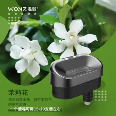 【WONZ溫致專用濾嘴】獨立包裝|高品質過濾|易更換設計|主機完美適配 | 一盒2入 - 图片 6