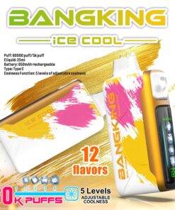 ❄️ Bang King Ice Cool 60000口 ｜5 段可調冰感 × 超強續航電子煙