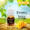 TUNDRA T牌芒果煙油 30ml